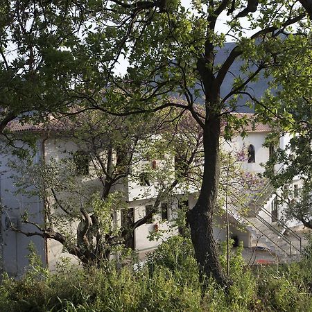 Kavoulakos Studios Skoutarion Luaran gambar