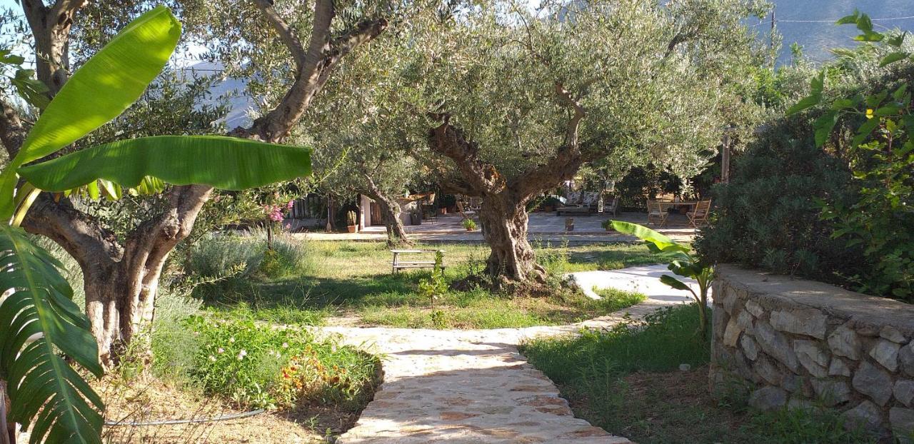 Kavoulakos Studios Skoutarion Luaran gambar