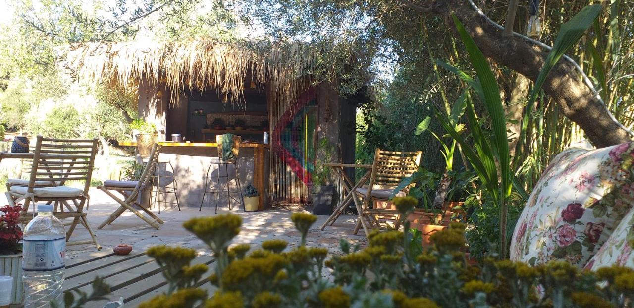 Kavoulakos Studios Skoutarion Luaran gambar
