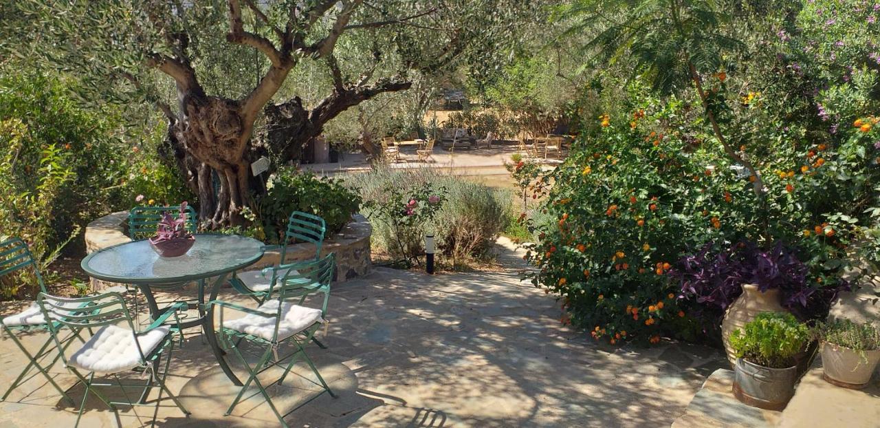 Kavoulakos Studios Skoutarion Luaran gambar