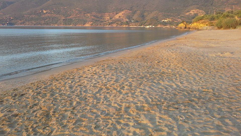 Kavoulakos Studios Skoutarion Luaran gambar