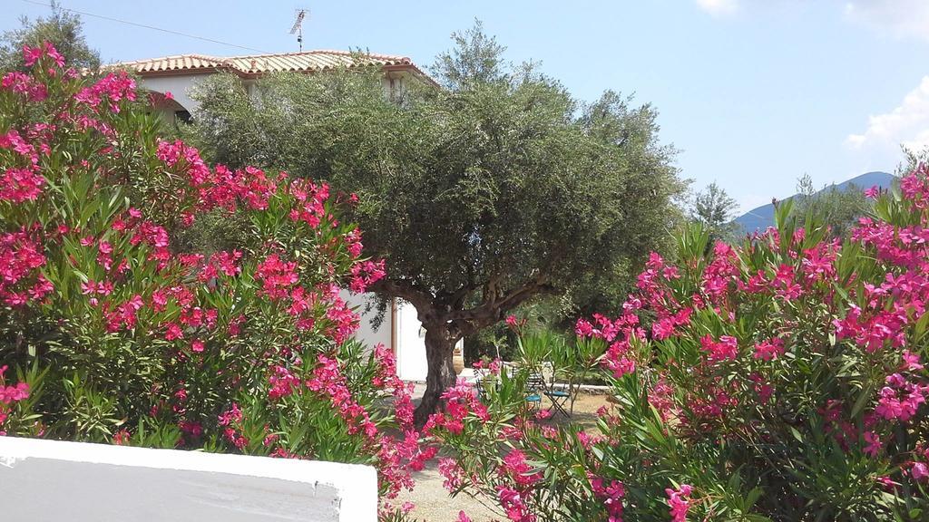 Kavoulakos Studios Skoutarion Luaran gambar