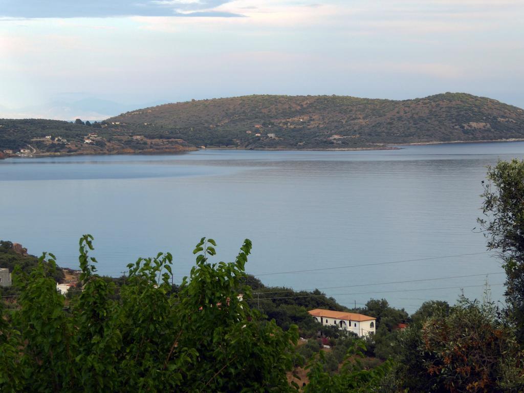 Kavoulakos Studios Skoutarion Luaran gambar