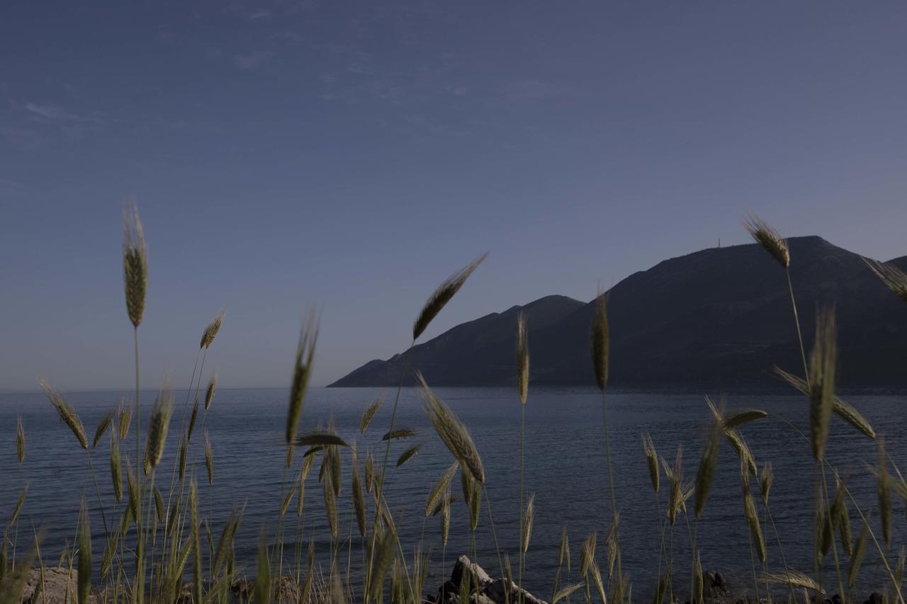 Kavoulakos Studios Skoutarion Luaran gambar
