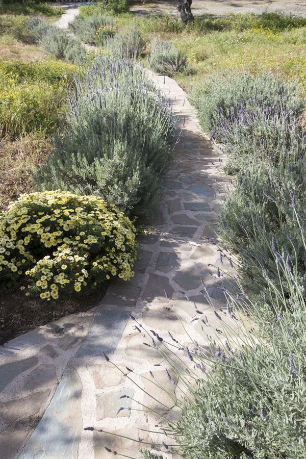 Kavoulakos Studios Skoutarion Luaran gambar